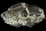 Gleaming, Cubic Pyrite Cluster - Peru #69594-2